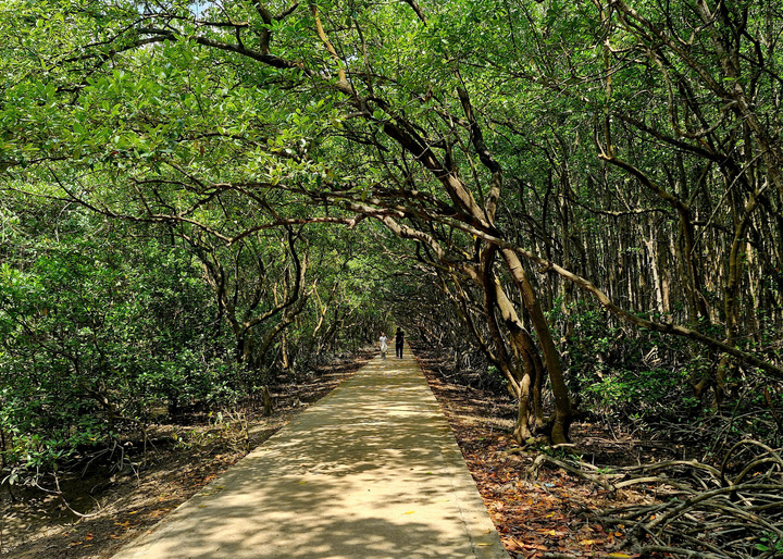 khu đô thị Cần Giờ, dự án đường Rừng Sác, Vingroup Cần Giờ - Hinh 4